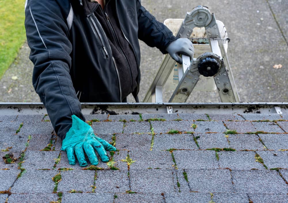 Enlever les mousses sur la toiture